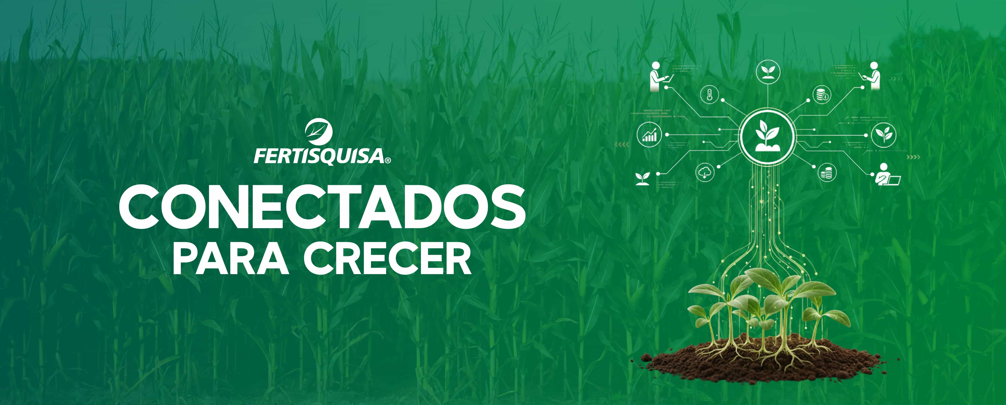 ¿Cuál es el impacto de las inundaciones en la agricultura de Tabasco?